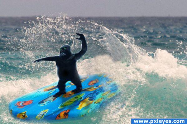 Surfing Gorilla